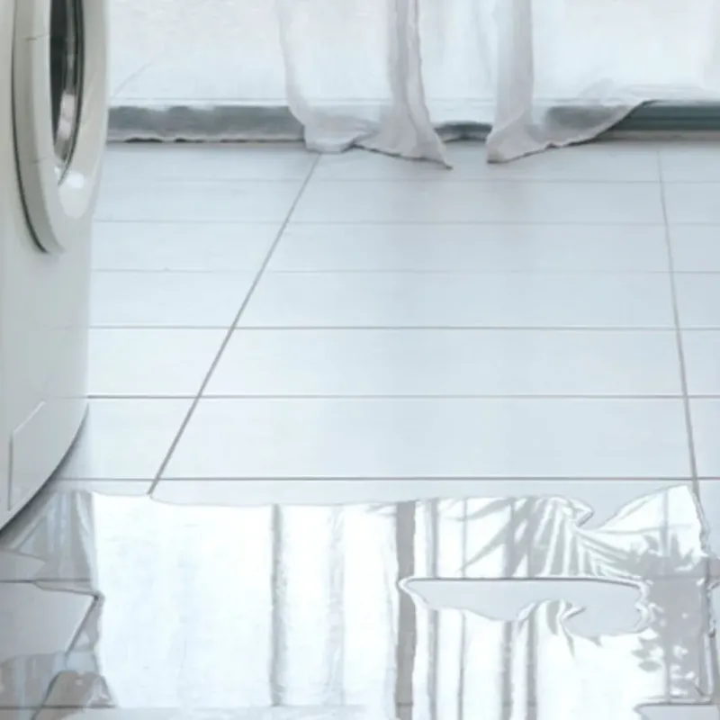 Appliance Leak Cleanup in Reese, MI