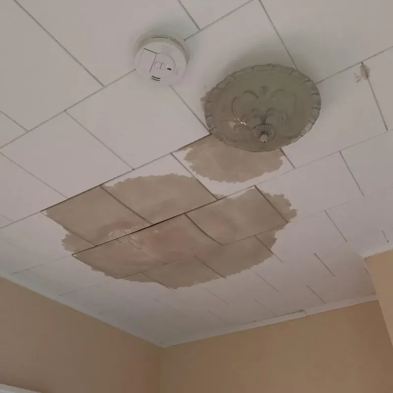 Ceiling Water Damage Repair in Reese, MI