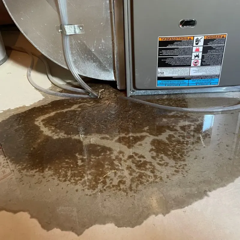 Pipe Burst and Leak Restoration in Reese, MI