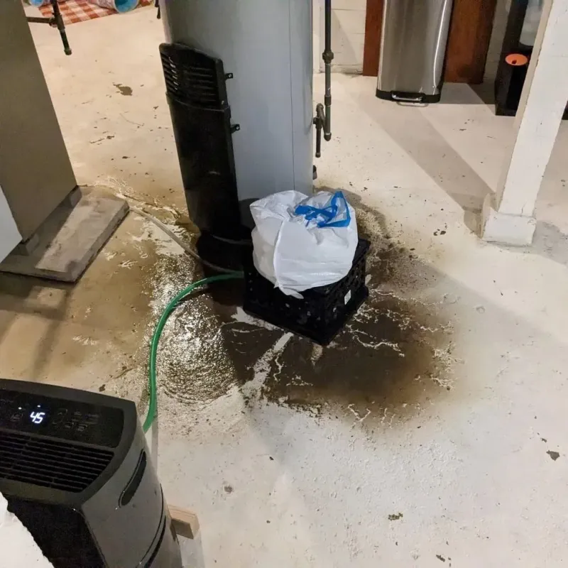 Sewage Backup Cleanup Service in Reese, MI